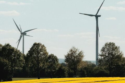 ΕΠΙΛΟΓΗ ΕΚΠΑΙΔΕΥΤΙΚΗΣ ΕΝΟΤΗΤΑΣ